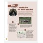 Livre : Le grand guide du bushcraft, d'Alban Cambe Livre : Le grand guide du bushcraft, d'Alban Cambe