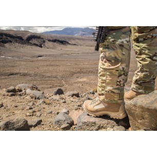 Chaussures armée Meindl Defence Desert GTX