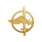 Insigne de béret, Commando de l'Air Insigne de béret, Commando de l'Air